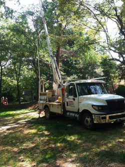 Water Well Repair